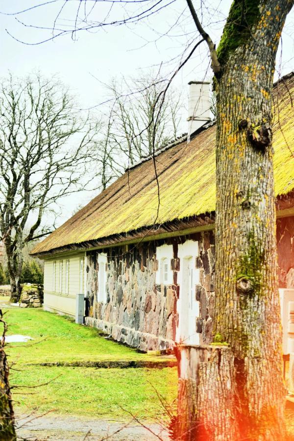 Vanatoa Taluhotell Koguva Eksteriør bilde